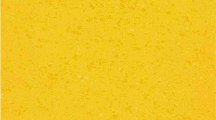 uni 0231 yellow.jpg