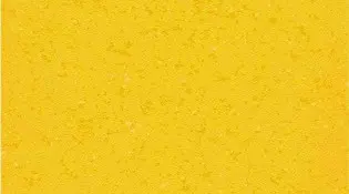 uni 0231 yellow.jpg